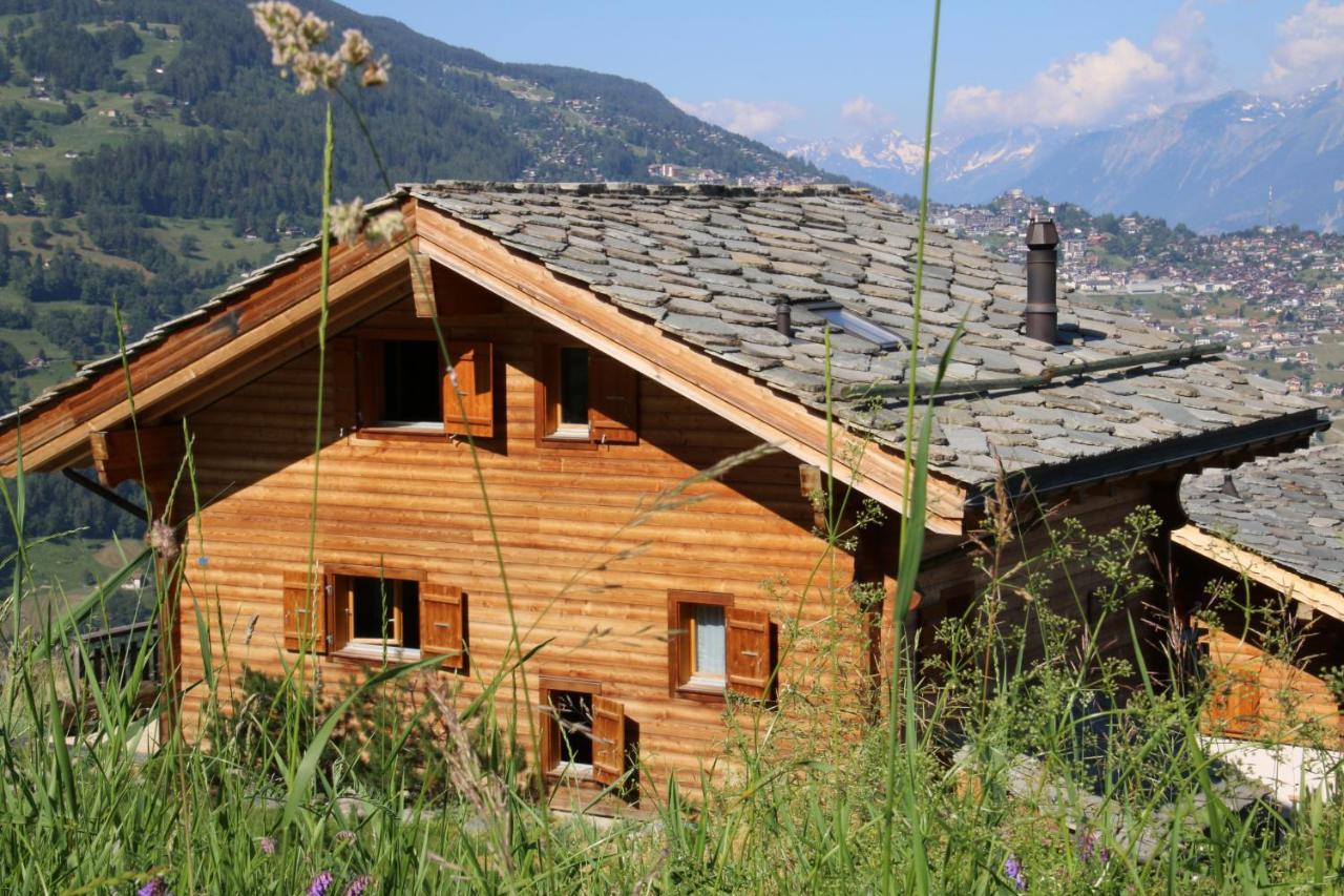 Christoph Standing & Calm Chalet 10 Pers By Alpvision Residences Veysonnaz Exterior foto